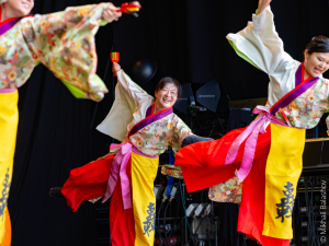 Impressionen vom Sommerfestival der Kulturen 2026