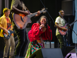 Impressionen vom Sommerfestival der Kulturen 2026: Freshlyground